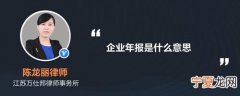 年报的含义 年报是什么意思