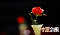 送的玫瑰花怎么保存 玫瑰花的保存介绍