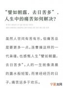 短歌行原文理解 譬如朝露去日苦多这句话是什么意思