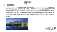 鸟巢的简介 鸟巢介绍