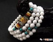 砗磲知识你知多少 砗磲有哪几种