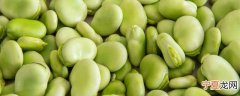 蚕豆怎样保存放一年都新鲜 蚕豆如何保存放一年都新鲜呢