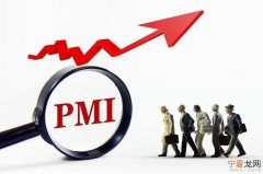 PMI指数的介绍 pmi指数含义
