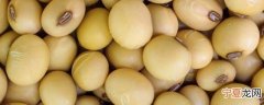 带壳大豆怎么保存最新鲜 带壳大豆如何保存最新鲜呢