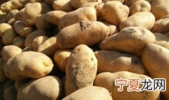 马铃薯窖储存方法 马铃薯窖怎样储存