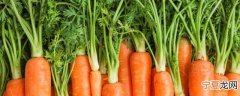 胡萝卜放软了还能吃吗 胡萝卜放软了还可以食用吗
