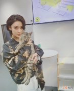 圆脸女生适合的5款短发 圆脸少发量女生适合的短发