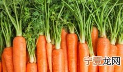 胡萝卜秧储存方法 胡萝卜秧怎么储存