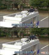 最舒服的两性关系 两性之间最长久的关系