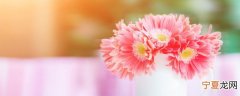 怎么让新鲜花保鲜好一些 鲜花如何保鲜