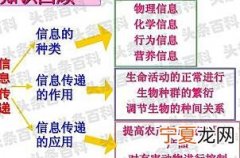 信息的作用