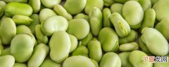 新鲜蚕豆怎么长期保鲜 新鲜蚕豆如何长期保鲜