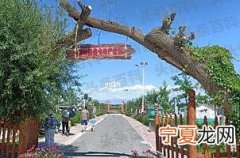 塔城旅游景点有哪些地方好玩 塔城地区必玩十大景区