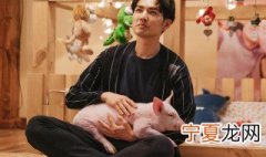 养猪喜欢是什么意思 网络上饲养员是什么意思