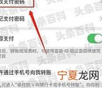 微信支付密码忘了怎么找回 支付密码怎么重置