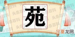苑怎么读 苑字的基本释义