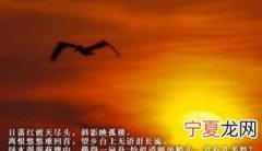 哀悼亲人去世的句子，亲人离世伤感的句子