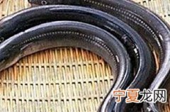 鳗鱼的功效与禁忌 鳗鱼的营养价值及注意事项