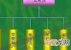 五常指的是什么 五常含义