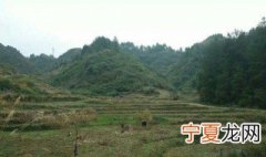 坟地风水学入门知识 坟地风水学知识如下