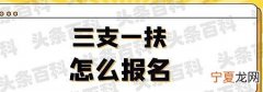 三支一扶只能毕业生报考吗 三支一扶两年后转编制一定会成功吗