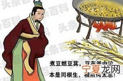 古诗七步诗的意思和背景 七步诗原文 七步诗翻译注释