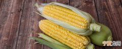 新鲜玉米怎么做保鲜 新鲜玉米的保鲜方法
