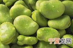 蚕豆的功效与作用 蚕豆有什么营养价值