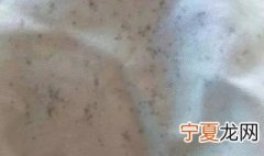 怎么去霉斑点衣服 怎么去霉斑点