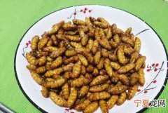 蚕蛹怎样炸才能又酥又脆呢，炸茧蛹怎么做、如何做炸茧蛹