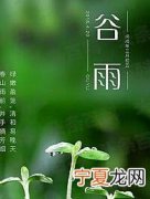 谷雨时节的特点 24节气谷雨的气候特点介绍