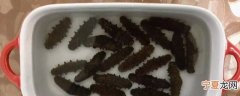海参泡发失败怎么办 海参泡发失败咋办
