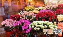 卧室养什么花对睡眠好 卧室养什么花对睡眠会好