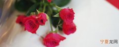 新鲜玫瑰花瓣煮水怎么做 新鲜玫瑰花瓣煮水如何制作