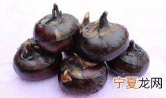种植马蹄种怎么育苗 马蹄育苗的种植方法
