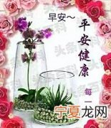 早安最美图片 最能打动人心的早安问候