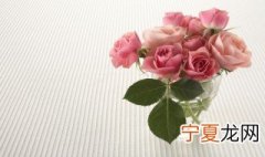 11朵粉玫瑰代表什么意思 11朵粉玫瑰代表的意思