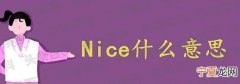 nice是什么中文意思