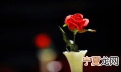 29朵玫瑰花是什么意思 29朵玫瑰花的意思