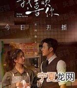 喜欢你》电视剧免费观看 喜欢你也可以吗