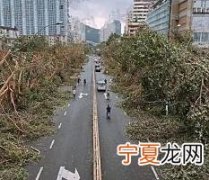 破坏力最强的台风是几级 世界上破坏力最大的台风是几级