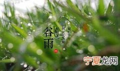 谷雨节气的具体时间 2022年04月20日 10:24:07