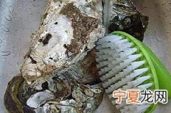 生蚝清洗 如何清洗和处理生蚝