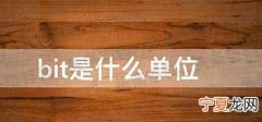 bit是什么意思的简单介绍