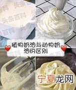 动物奶油和植物奶油哪个好 动物奶油与植物奶油是哪一个好