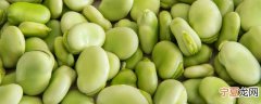 新鲜蚕豆可放冰箱保存吗 能不能把新鲜蚕豆放冰箱