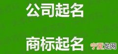 公司起名字大全免费参考1200个 好听的公司名字大全参考取名