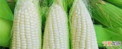 糯米玉米可以微波炉煮吗 糯米玉米能不能用微波炉煮呢
