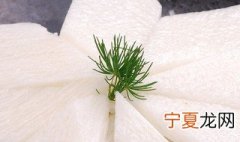 家庭如何水培山药 如何水培种植山药蛋