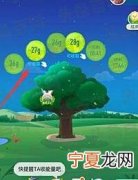 蚂蚁森林能量产生规则 做什么可以产生能量